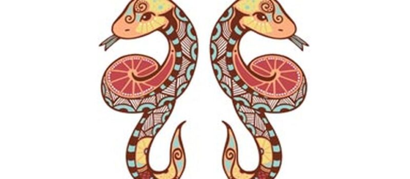 Gemeni – Zodiac Culinar