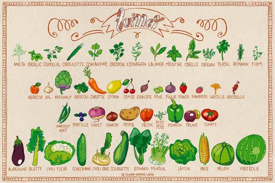 Les produits de saison – Fruits & légumes – Juillet
