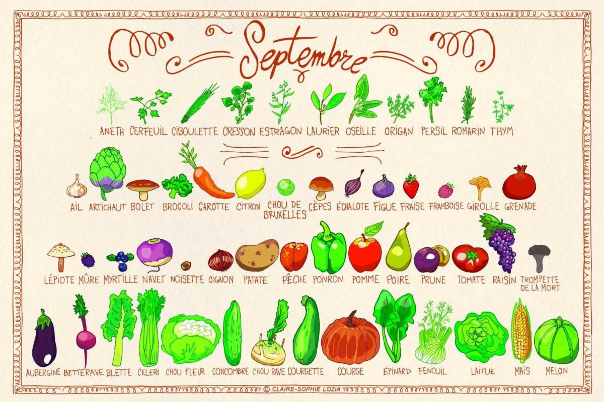 Fruits, légumes et produits de saison au mois de septembre.