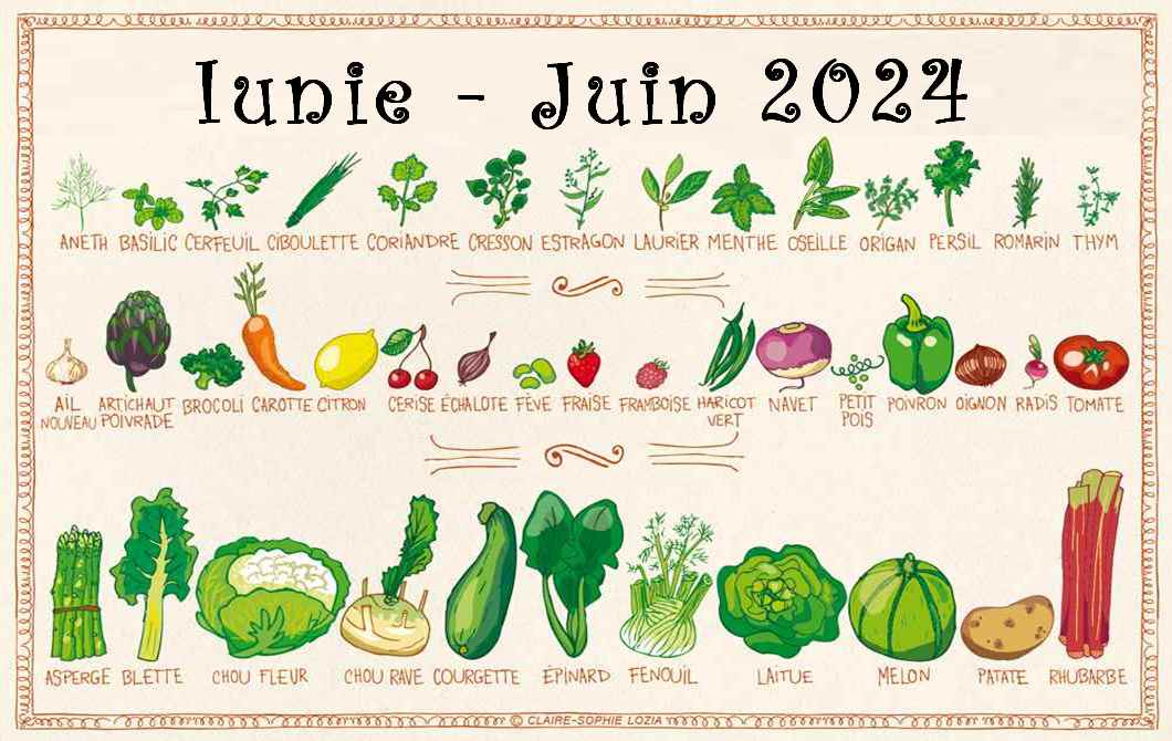 JUIN 2024 – Manger durable – Manger de saison – Manger mieux