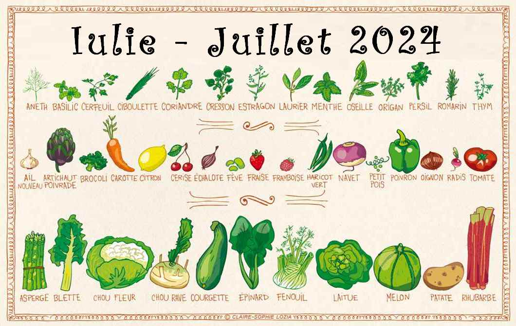 Juillet 2024 – Manger durable – Manger de saison – Manger mieux