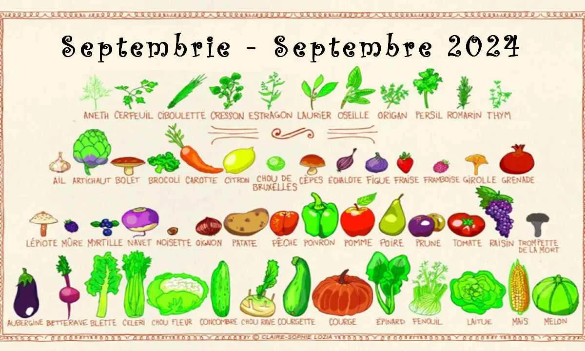 Septembre 2024 – Manger durable – Manger de saison – Manger mieux